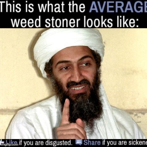 what the AVERAGE weed stoner looks like (add your own image) | image tagged in what the average weed stoner looks like add your own image | made w/ Imgflip meme maker