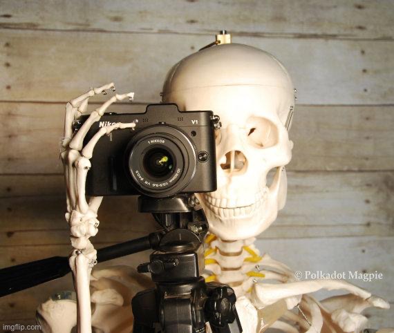 skeleton with camera  | image tagged in skeleton with camera | made w/ Imgflip meme maker