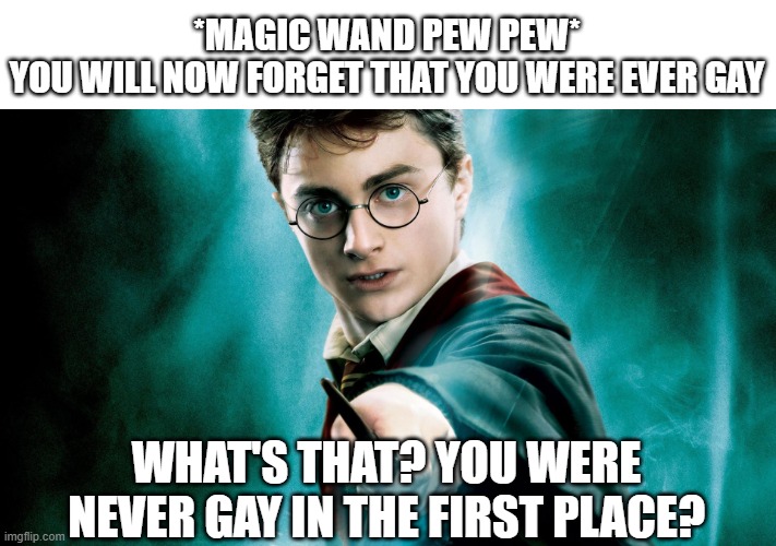 Harry Potter magic wand | *MAGIC WAND PEW PEW*
YOU WILL NOW FORGET THAT YOU WERE EVER GAY; WHAT'S THAT? YOU WERE NEVER GAY IN THE FIRST PLACE? | image tagged in harry potter magic wand | made w/ Imgflip meme maker