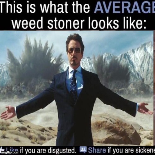 what the AVERAGE weed stoner looks like (add your own image) | image tagged in what the average weed stoner looks like add your own image | made w/ Imgflip meme maker