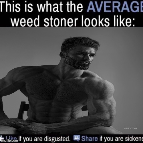 what the AVERAGE weed stoner looks like (add your own image) | image tagged in what the average weed stoner looks like add your own image | made w/ Imgflip meme maker