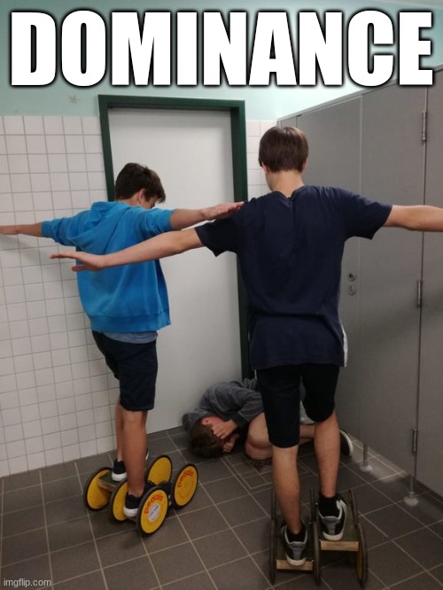 T-Pose Wall | DOMINANCE | image tagged in t-pose wall | made w/ Imgflip meme maker