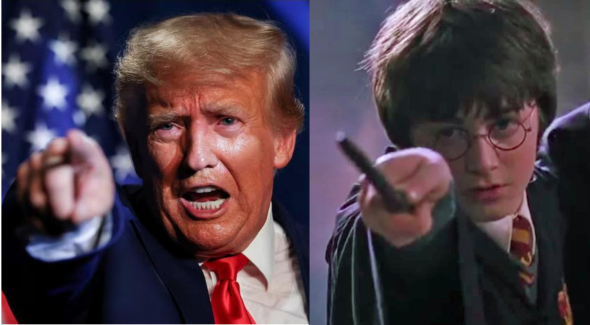 Trump Harry Potter Blank Meme Template