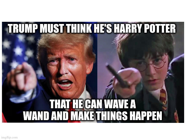 Trump Thinks  He's Harry Potter | TRUMP MUST THINK HE'S HARRY POTTER; THAT HE CAN WAVE A WAND AND MAKE THINGS HAPPEN | made w/ Imgflip meme maker