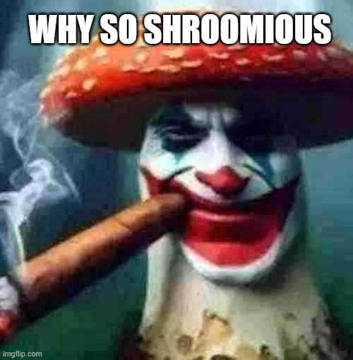 why so serious? | WHY SO SHROOMIOUS | image tagged in thejakershroom | made w/ Imgflip meme maker