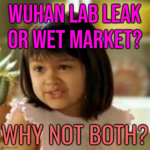 A Lab Or A Market?  Why Not Both? | WUHAN LAB LEAK OR WET MARKET? WHY NOT BOTH? | image tagged in why not both,china virus,covid-19,breaking news,coronavirus,scumbag government | made w/ Imgflip meme maker