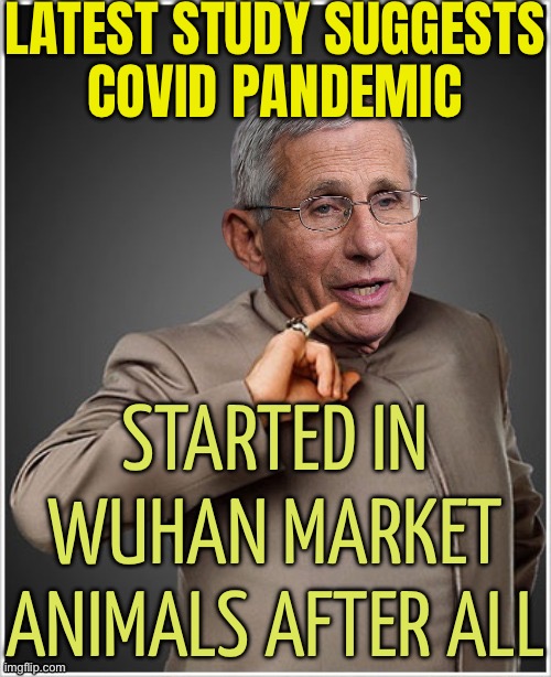 New study links COVID-19 to Wuhan market | LATEST STUDY SUGGESTS
COVID PANDEMIC; STARTED IN WUHAN MARKET ANIMALS AFTER ALL | image tagged in dr evil fauci,msm lies,china virus,covid-19,scumbag government,covid vaccine | made w/ Imgflip meme maker