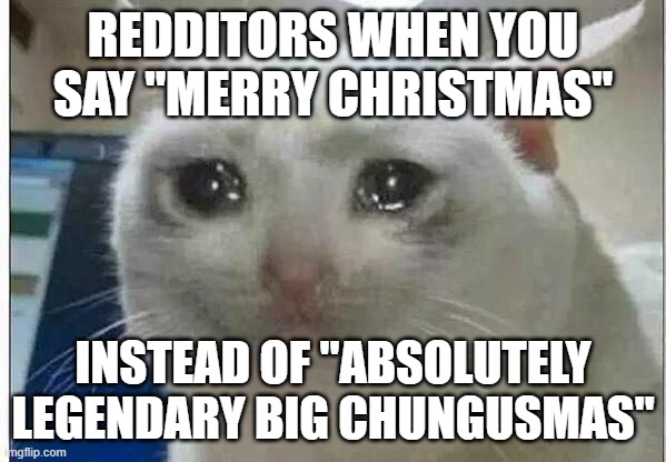 crying cat | REDDITORS WHEN YOU SAY "MERRY CHRISTMAS" INSTEAD OF "ABSOLUTELY LEGENDARY BIG CHUNGUSMAS" | image tagged in crying cat | made w/ Imgflip meme maker