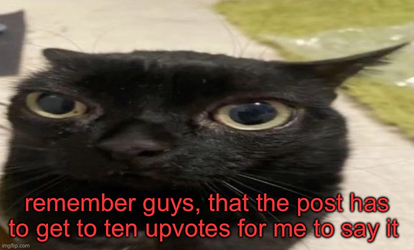 remember guys, that the post has to get to ten upvotes for me to say it | made w/ Imgflip meme maker