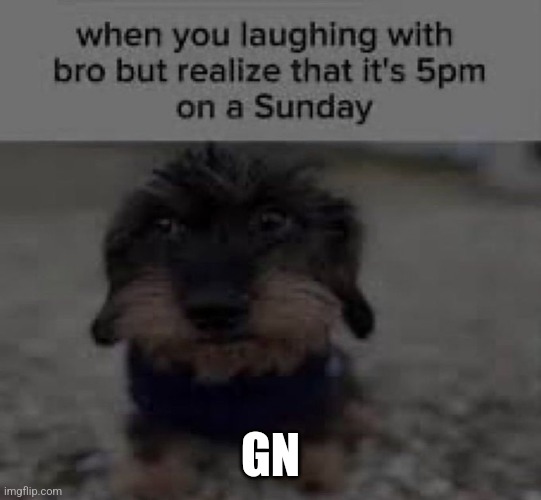 GN | made w/ Imgflip meme maker