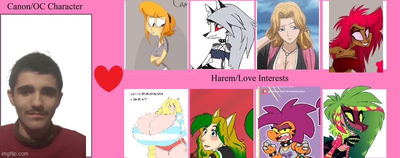 my love interests | image tagged in harem,love,vivziepop,zoophobia,hazbin hotel,anime | made w/ Imgflip meme maker