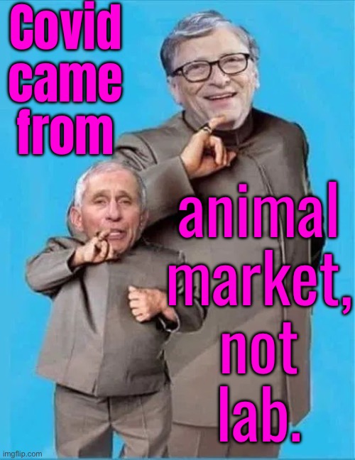 Covid Came From Animal Market, Not Lab. | Covid
came
from; animal
market,
not
lab. | image tagged in gates fauci dr evil mini me,covid-19,msm lies,bill gates loves vaccines,fauci,breaking news | made w/ Imgflip meme maker