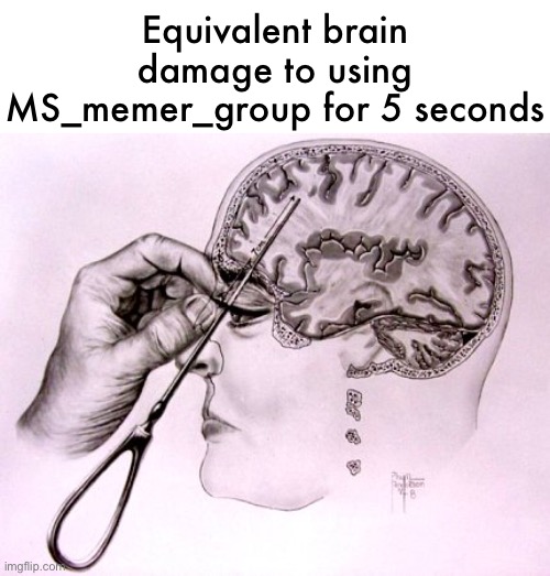 This would probably be hated on if it wasn’t a meta post | Equivalent brain damage to using MS_memer_group for 5 seconds | image tagged in lobotomy | made w/ Imgflip meme maker