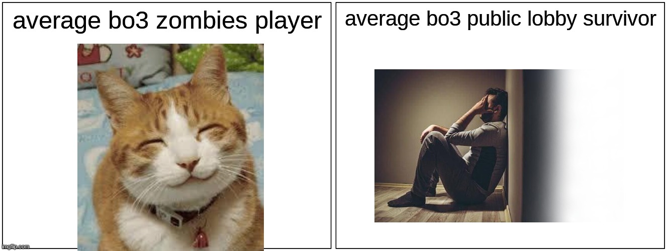 Blank Comic Panel 2x1 | average bo3 zombies player; average bo3 public lobby survivor | image tagged in memes,blank comic panel 2x1 | made w/ Imgflip meme maker