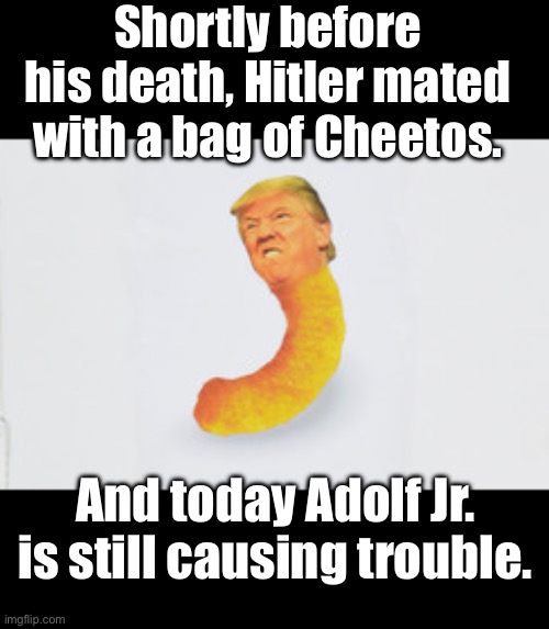 Cheeto Hitler | Shortly before his death, Hitler mated with a bag of Cheetos. And today Adolf Jr. is still causing trouble. | made w/ Imgflip meme maker