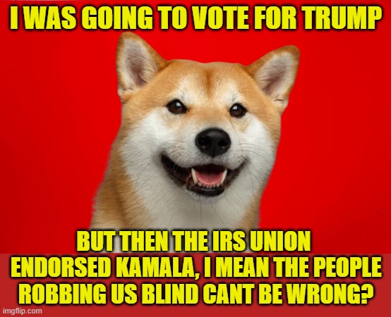 IRS union endorsement of Kamala Harris | I WAS GOING TO VOTE FOR TRUMP; BUT THEN THE IRS UNION  ENDORSED KAMALA, I MEAN THE PEOPLE ROBBING US BLIND CANT BE WRONG? | image tagged in irs,taxation is theft,union,maga,make america great again,kamala harris | made w/ Imgflip meme maker