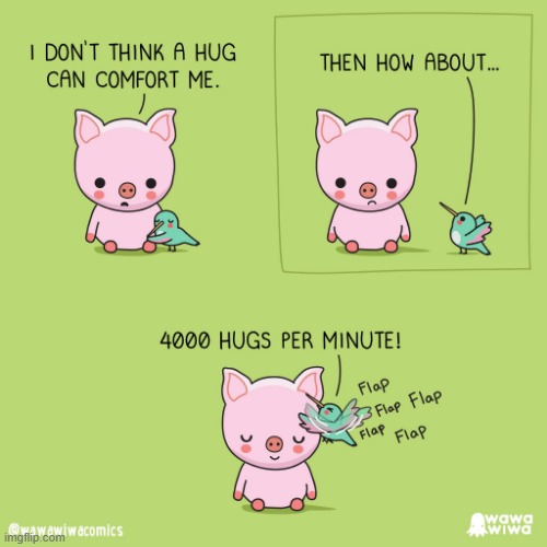 image tagged in pig,sad,hummingbird,hugs,flap,aww | made w/ Imgflip meme maker