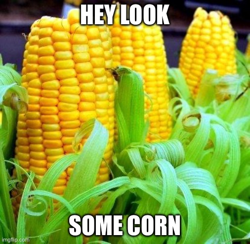 Nothing special here | HEY LOOK; SOME CORN | image tagged in corn meme | made w/ Imgflip meme maker