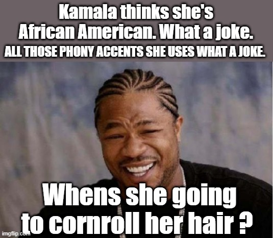 How come the left ain't screaming  Cultural appropriation? | Kamala thinks she's African American. What a joke. ALL THOSE PHONY ACCENTS SHE USES WHAT A JOKE. Whens she going to cornroll her hair ? | image tagged in memes,yo dawg heard you | made w/ Imgflip meme maker