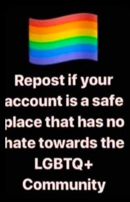 . | image tagged in repost if your account is a safe space for the lgbtq community | made w/ Imgflip meme maker