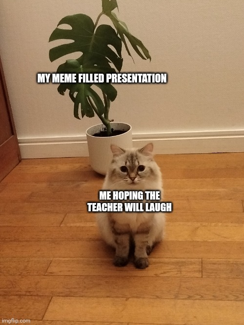 Vanille presentation | MY MEME FILLED PRESENTATION; ME HOPING THE TEACHER WILL LAUGH | image tagged in presentation | made w/ Imgflip meme maker