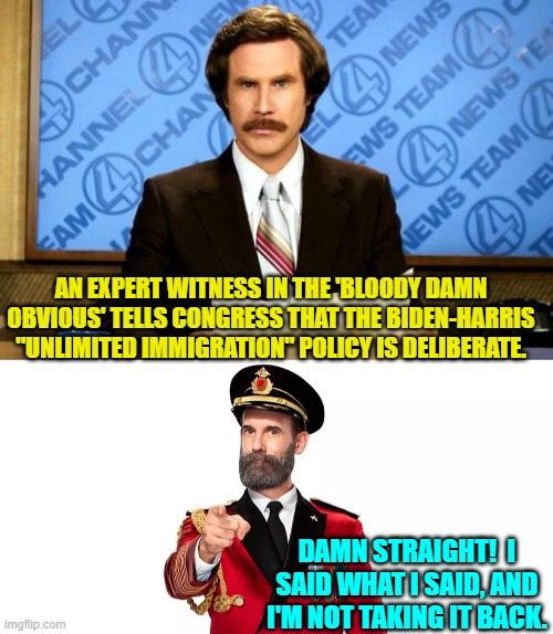 Seriously only the sick in the head think that this is not a deliberate policy.  Sheesh! | AN EXPERT WITNESS IN THE 'BLOODY DAMN OBVIOUS' TELLS CONGRESS THAT THE BIDEN-HARRIS "UNLIMITED IMMIGRATION" POLICY IS DELIBERATE. DAMN STRAIGHT!  I SAID WHAT I SAID, AND I'M NOT TAKING IT BACK. | image tagged in breaking news | made w/ Imgflip meme maker