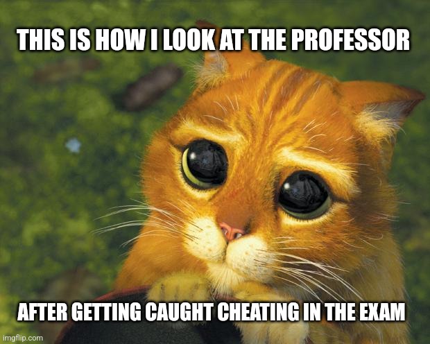 Pretty Please Cat | THIS IS HOW I LOOK AT THE PROFESSOR; AFTER GETTING CAUGHT CHEATING IN THE EXAM | image tagged in pretty please cat | made w/ Imgflip meme maker