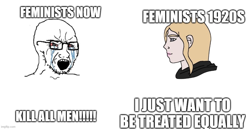 Soyboy vs Chad Girl | FEMINISTS 1920S; FEMINISTS NOW; KILL ALL MEN!!!!! I JUST WANT TO BE TREATED EQUALLY | image tagged in soyboy vs chad girl | made w/ Imgflip meme maker