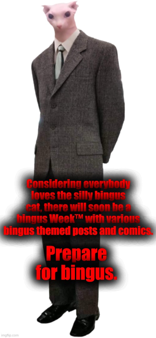 Bingus in suit | Considering everybody loves the silly bingus cat, there will soon be a bingus Week™ with various bingus themed posts and comics. Prepare for bingus. | image tagged in bingus in suit | made w/ Imgflip meme maker