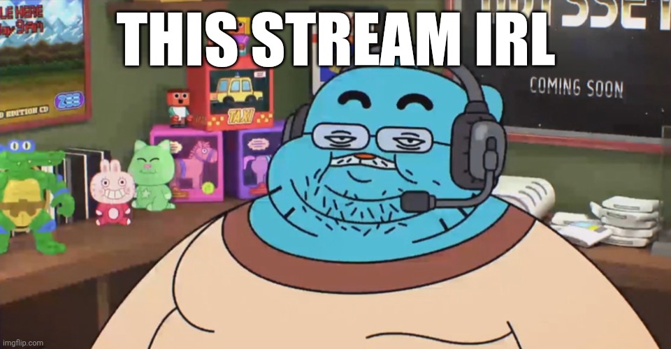 discord moderator | THIS STREAM IRL | image tagged in discord moderator | made w/ Imgflip meme maker