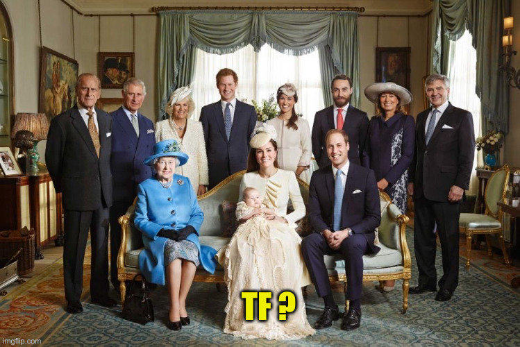 British royal family  | TF ? | image tagged in british royal family | made w/ Imgflip meme maker