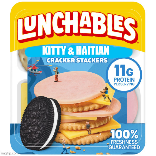 Don't Try These ! | KITTY & HAITIAN | image tagged in political meme,politics,funny memes,funny,haitian,lunch | made w/ Imgflip meme maker