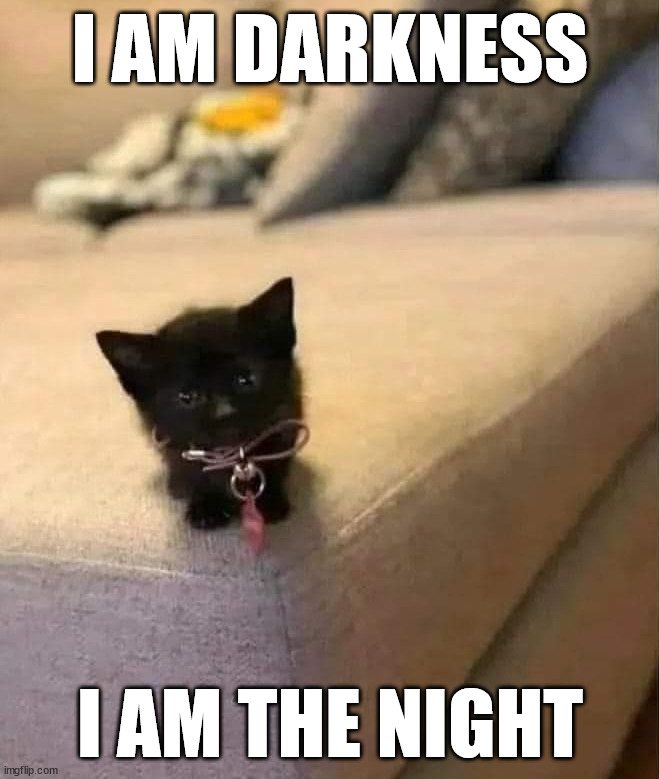 Fear me | I AM DARKNESS; I AM THE NIGHT | image tagged in cats | made w/ Imgflip meme maker