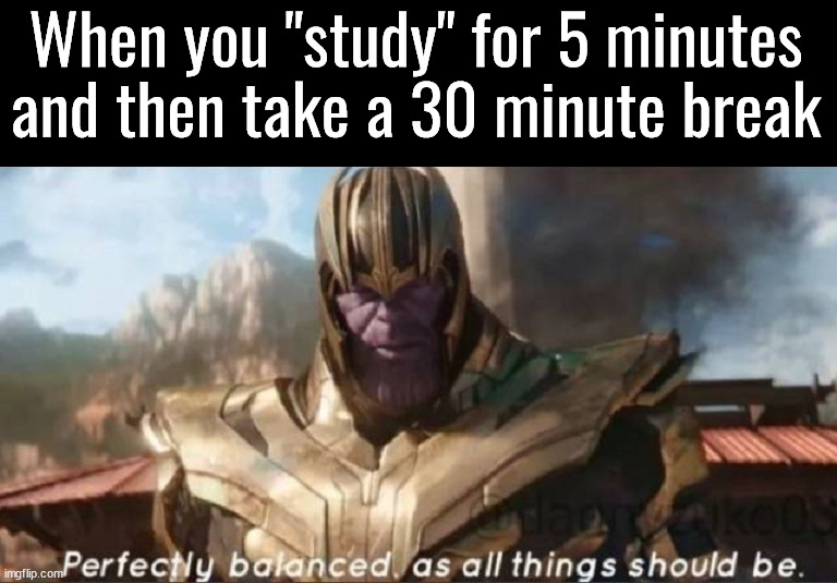 How I study | When you "study" for 5 minutes
and then take a 30 minute break | image tagged in memes | made w/ Imgflip meme maker