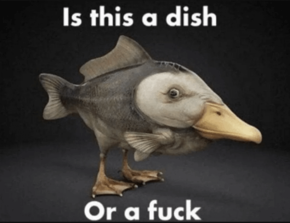 Is this a dish, or a F Blank Meme Template