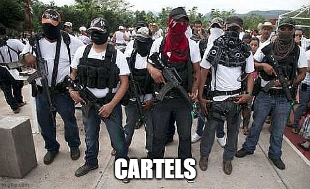 Ask the Cartel | CARTELS | image tagged in ask the cartel | made w/ Imgflip meme maker