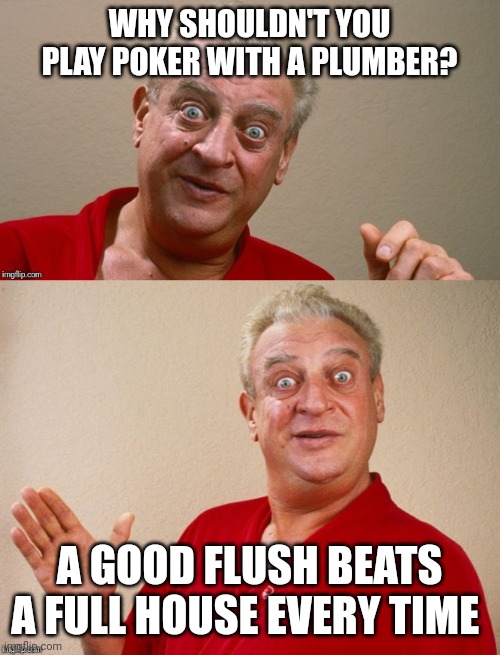 Plumber Joke | WHY SHOULDN'T YOU PLAY POKER WITH A PLUMBER? A GOOD FLUSH BEATS A FULL HOUSE EVERY TIME | image tagged in rodney dangerfield,funny memes | made w/ Imgflip meme maker