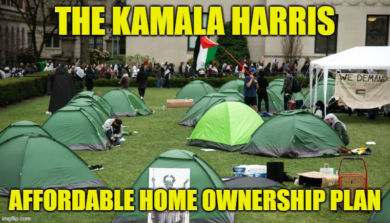 Kamala to house all americans With the Harris affordable housing bill | THE KAMALA HARRIS; AFFORDABLE HOME OWNERSHIP PLAN | image tagged in kamala harris,vice president,george soros,maga,make america great again,trump | made w/ Imgflip meme maker