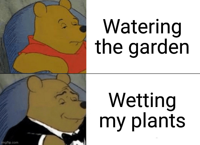 Pooh's guide to horticulture | Watering the garden; Wetting my plants | image tagged in memes,tuxedo winnie the pooh | made w/ Imgflip meme maker