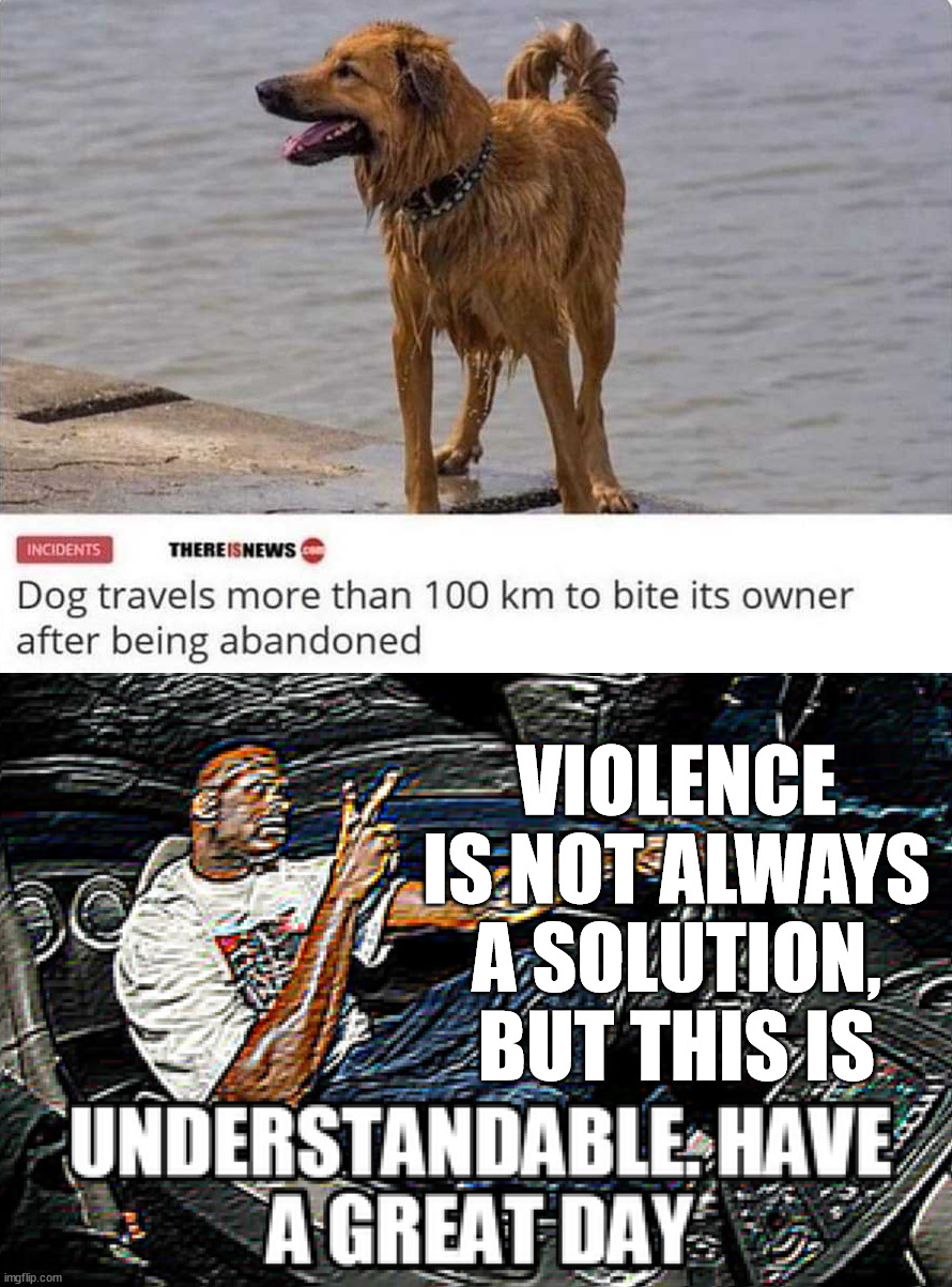 Revenge is not the answer but this is 100% justified | VIOLENCE IS NOT ALWAYS A SOLUTION, BUT THIS IS | image tagged in understandable have a great day,dog bite,revenge | made w/ Imgflip meme maker