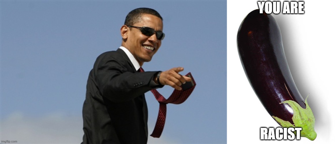 YOU ARE RACIST | image tagged in memes,cool obama,stinky eggplant | made w/ Imgflip meme maker