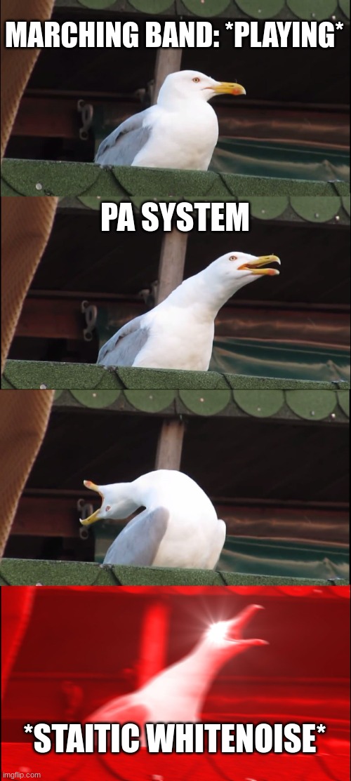 Inhaling Seagull Meme | MARCHING BAND: *PLAYING*; PA SYSTEM; *STAITIC WHITENOISE* | image tagged in memes,inhaling seagull | made w/ Imgflip meme maker