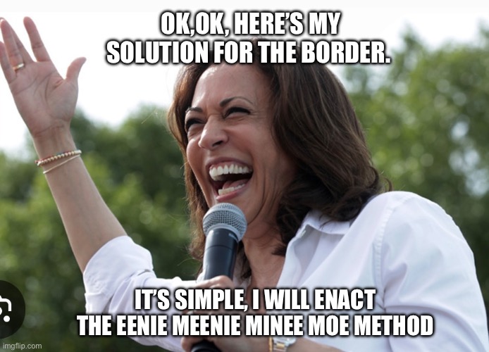 OK,OK, HERE’S MY SOLUTION FOR THE BORDER. IT’S SIMPLE, I WILL ENACT THE EENIE MEENIE MINEE MOE METHOD | made w/ Imgflip meme maker