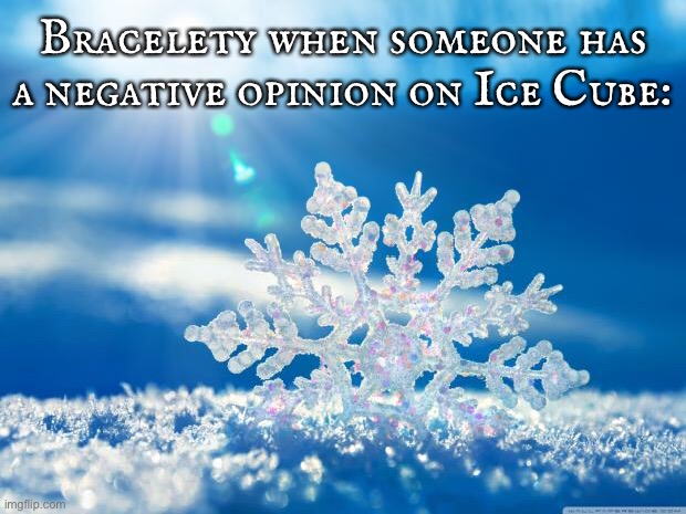 BFDI Slander #Ⅳ | Bracelety when someone has a negative opinion on Ice Cube: | image tagged in snowflake | made w/ Imgflip meme maker