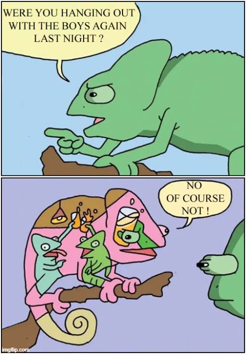 Chameleons Cannot Lie ! | image tagged in chameleon,deceit | made w/ Imgflip meme maker