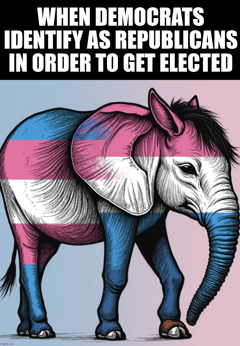 The Republican party is full of democrats but not the other way around | WHEN DEMOCRATS IDENTIFY AS REPUBLICANS IN ORDER TO GET ELECTED | image tagged in politics,rino | made w/ Imgflip meme maker