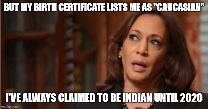 Kamala Harris | BUT MY BIRTH CERTIFICATE LISTS ME AS "CAUCASIAN" I'VE ALWAYS CLAIMED TO BE INDIAN UNTIL 2020 | image tagged in kamala harris | made w/ Imgflip meme maker