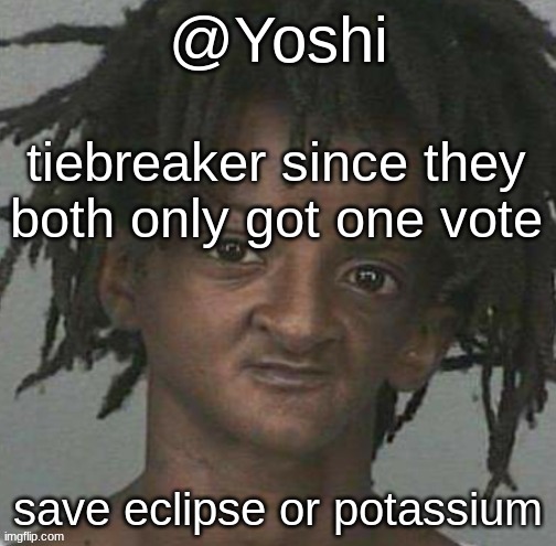 yoshi's cursed mugshot temp | tiebreaker since they both only got one vote; save eclipse or potassium | image tagged in yoshi's cursed mugshot temp | made w/ Imgflip meme maker