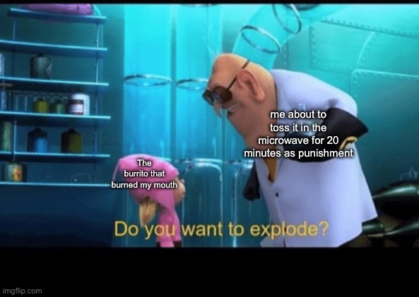 Do you want to explode | me about to toss it in the microwave for 20 minutes as punishment; The burrito that burned my mouth | image tagged in do you want to explode | made w/ Imgflip meme maker