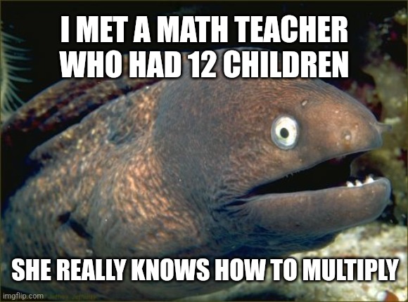 12 Children | I MET A MATH TEACHER WHO HAD 12 CHILDREN; SHE REALLY KNOWS HOW TO MULTIPLY | image tagged in memes,bad joke eel,puns,fish,eel,math teacher | made w/ Imgflip meme maker